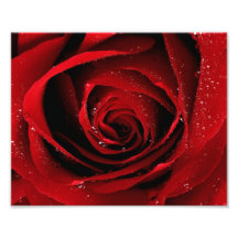 Impression photo 8x10
