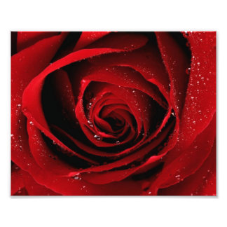 Impression photo 8x10