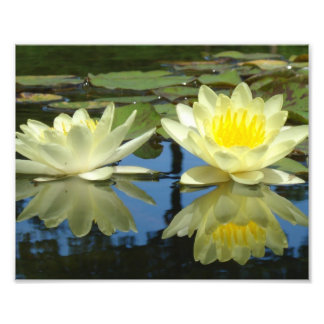 Impression Photo 8x10 jaune-doux