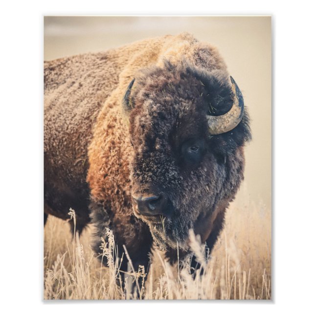 Impression Photo 8x10 Print - Frosty Morning (Devant)