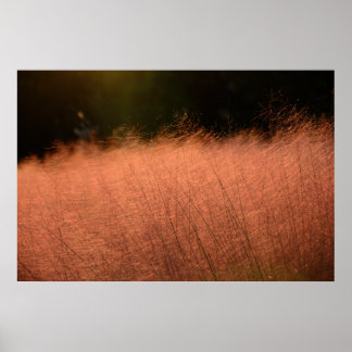 Impression photo 91,4 x 61 cm - Pink Muhly Jeju-do