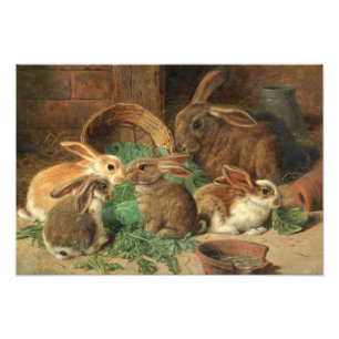 Impression Photo A Mother Rabbit and her Young by Alfred Barber