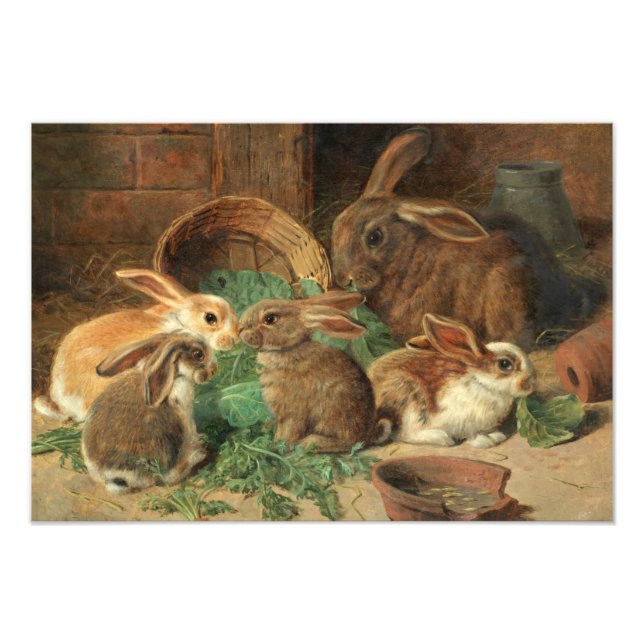 Impression Photo A Mother Rabbit and her Young par Alfred Barber (Devant)