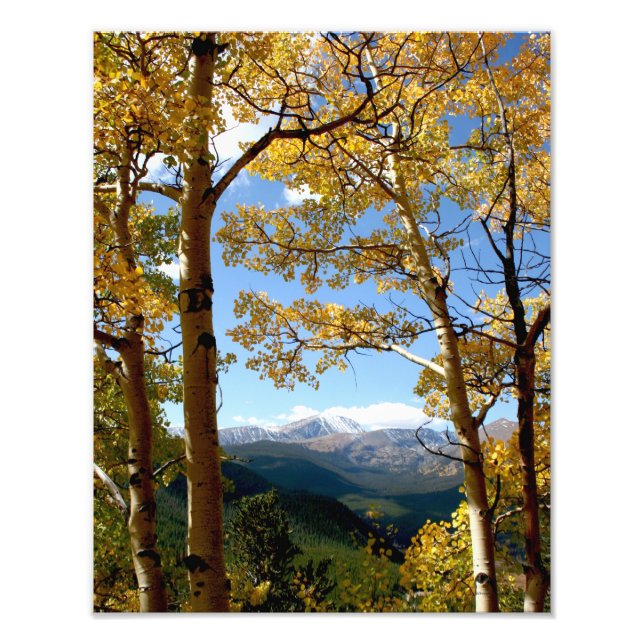 Impression Photo À travers l'Aspen (Devant)