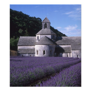 Impression Photo Abbaye de Senanque, Gordes, Vaucluse, Provence, 2