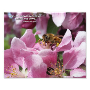 Impression Photo Abeille de miel sur la fleur de crabelle avec cita