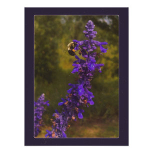 Impression Photo abeille sur lavande