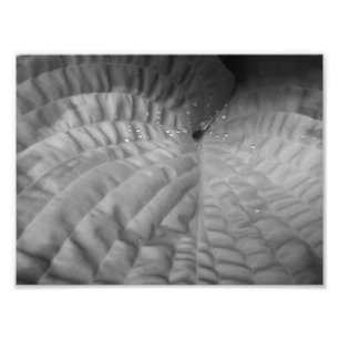 Impression Photo Abrégé sur et Waterdrops-B&W feuille