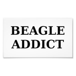 Impression Photo accro beagle