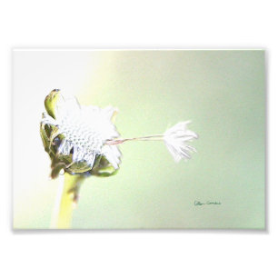 Impression Photo Accrocher - Faux Embossés