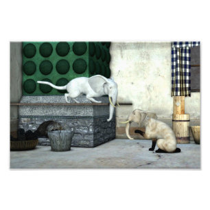 Impression Photo adorable chats éléphants