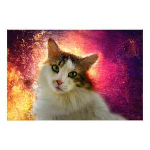 Impression Photo Adorable Cute Calico Chat