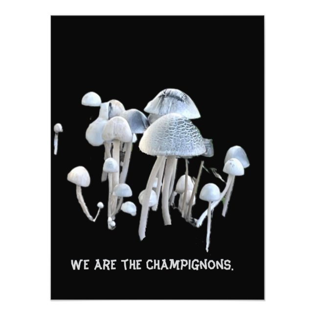 Impression Photo Affiche de champignons (Devant)
