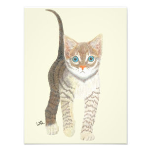 Impression Photo Affiche de chaton tigré