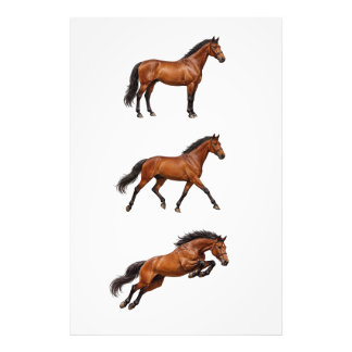 Impression Photo Affiche de cheval brun élégant pour mur