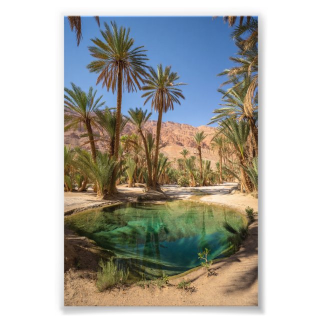 Impression Photo affiche de l'oasis de marrakech (Devant)