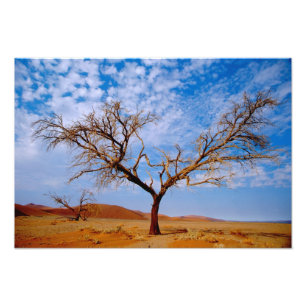 Impression Photo Afrique, Namibie, Parc national de Naukluft,