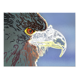 IMPRESSION PHOTO AIGLE