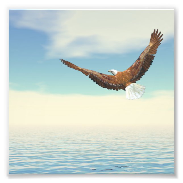Impression Photo Aigle à tête blanche volant sur l'océan jusqu'à la (Devant)