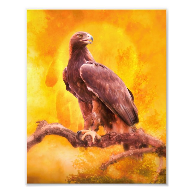 Impression Photo Aigle d'or L'aigle d'or (Devant)