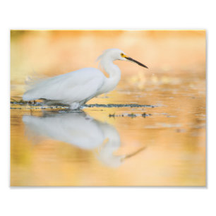 Impression Photo Aiguille quand le soleil se couche