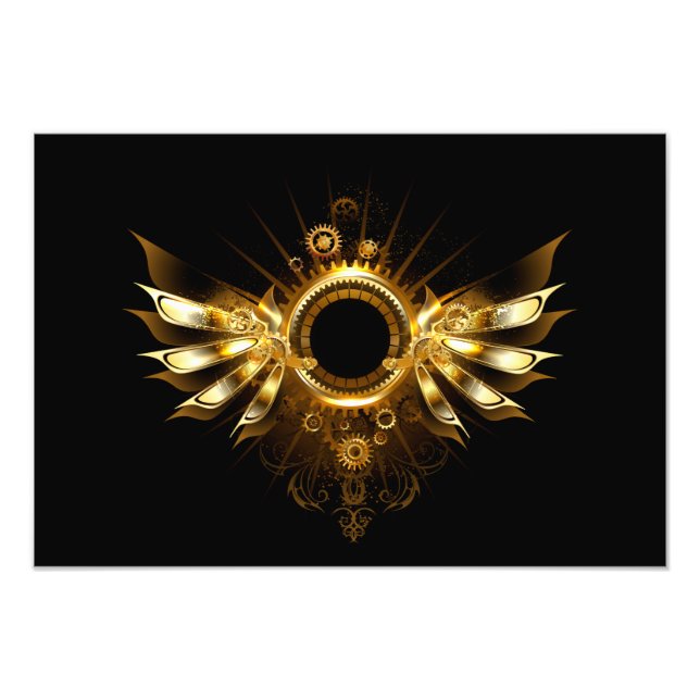 Impression Photo Ailes de Steampunk (Devant)