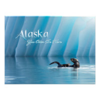 Alaska-You Otter Soyez ici