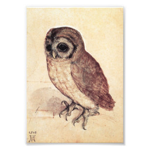 Impression Photo Albrecht Durer la copie de petit hibou