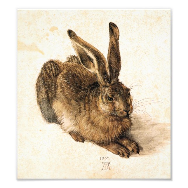 Impression Photo Albrecht Durer Young Hare (Devant)