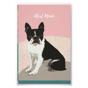 Impression Photo Alert Boston Terrier Dog   Boston Terrier Lover