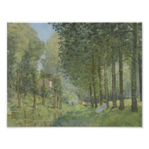 Impression Photo Alfred Sisley - Reposez le long du ruisseau