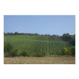 Impression Photo Allemagne, Franconie, Rothenburg. Vue le long de l