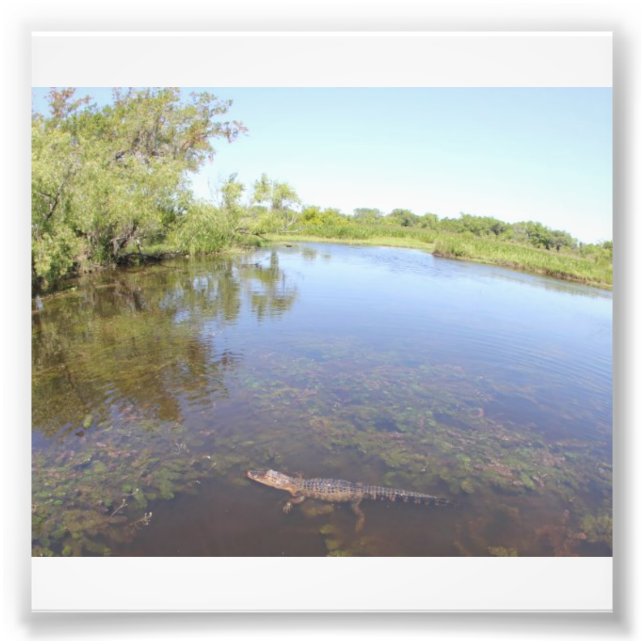 Impression Photo Alley Alligator (Devant)