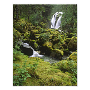 Impression Photo Amérique du Nord, États-Unis, Alaska. Une cascade 