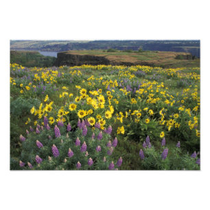 Impression Photo Amérique du Nord, États-Unis, Oregon, Columbia R