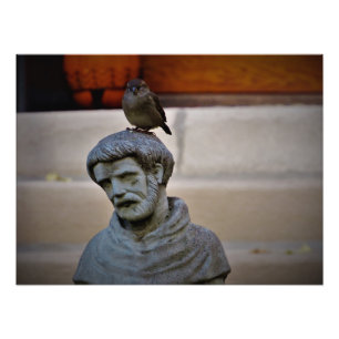 Impression Photo "Ami à plumes de Saint François"