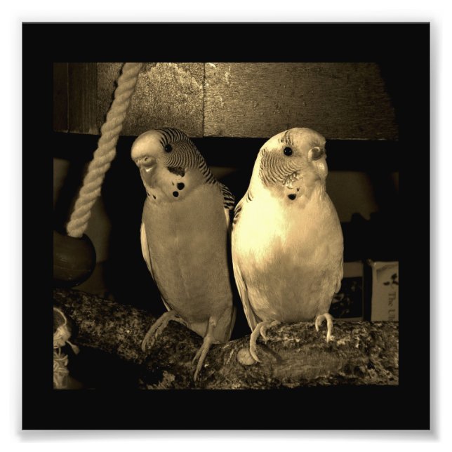 Impression Photo Amis (Devant)