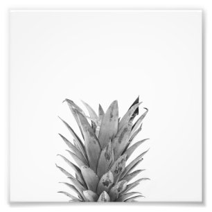 Impression Photo Ananas noir et blanc