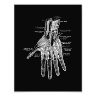 Impression Photo Anatomie humaine de main dans la copie noire et