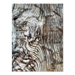 IMPRESSION PHOTO ANCIENNE ANGLETERRE