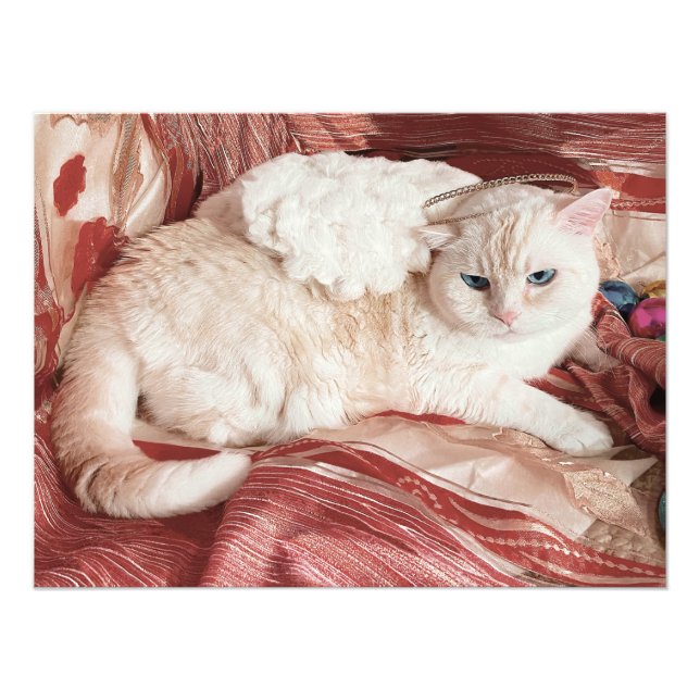 Impression Photo Ange Kitty (Devant)