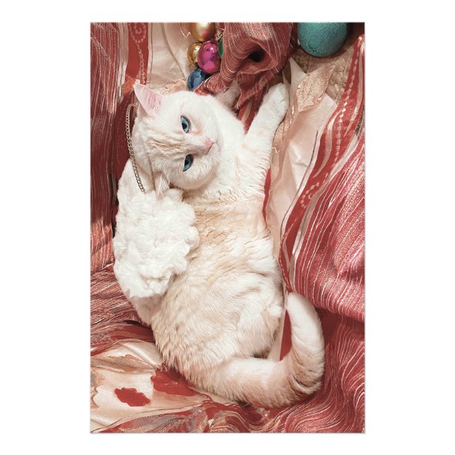 Impression Photo Ange Kitty (Devant)