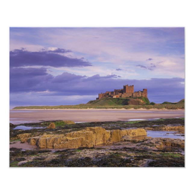 Impression Photo Angleterre, Northumberland, Château de Bamburgh (Devant)