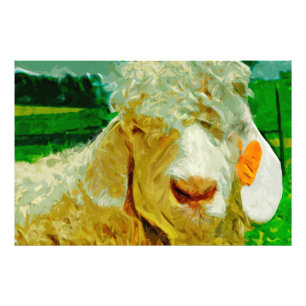 Impression Photo Angora Chèvre avec étiquette oreille Impressionn