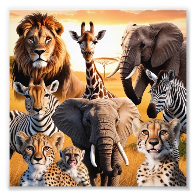 Impression Photo Animaux africains (Devant)