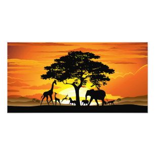 Impression Photo Animaux sauvages sur coucher de soleil de la savan