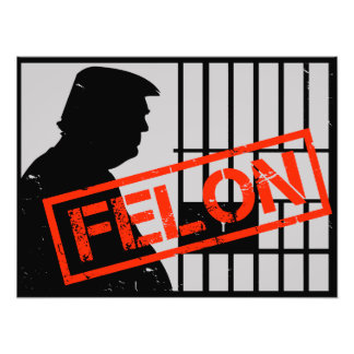 Impression Photo Anti Trump Felon Convicted 20-24 Years for Prison