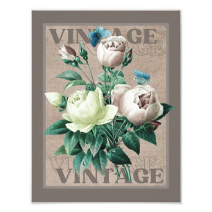 Impression Photo Antique Beige Vintage Hirloom Rose Art