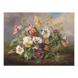 Impression Photo Anton Mollis Vintage Pansy
