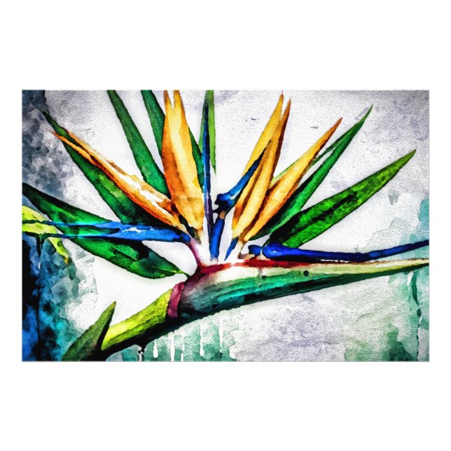 Impression Photo *~* AP10 Peinture d'art d'oiseaux de paradis #13 (Devant)